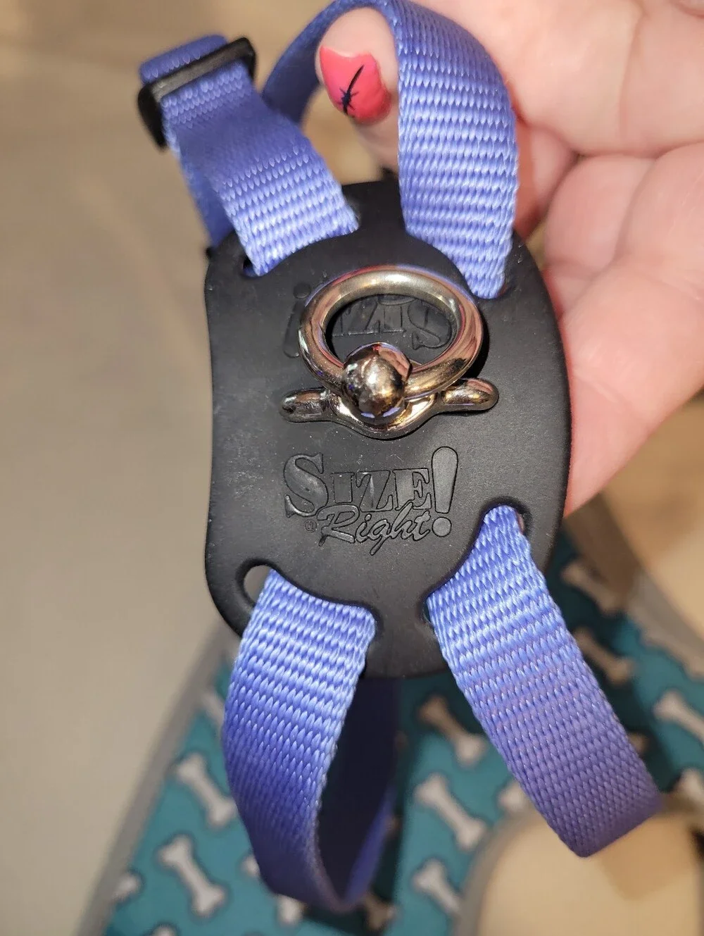 Supet Dog Grooming Hammock Harness for Dogs Cats Coral Blue Small + Gentle Lead